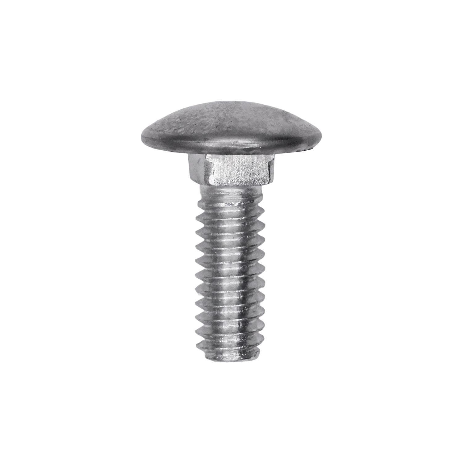 Auveco No. 15545 Bumper Bolt Stainless Steel Cap 1/4"-20 X 3/4", Quantity - 25
