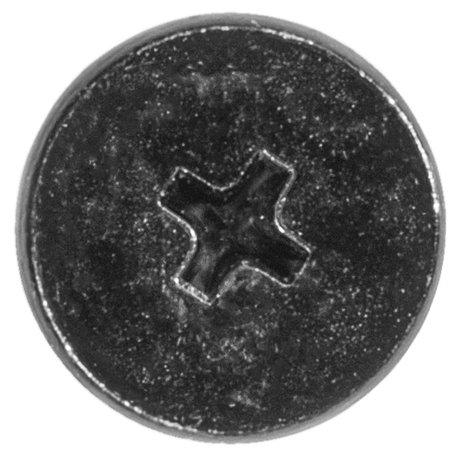 Auveco Item 23581 Gm, Ford Boot Well & Weatherstrip Rail Screw. Quantity 100