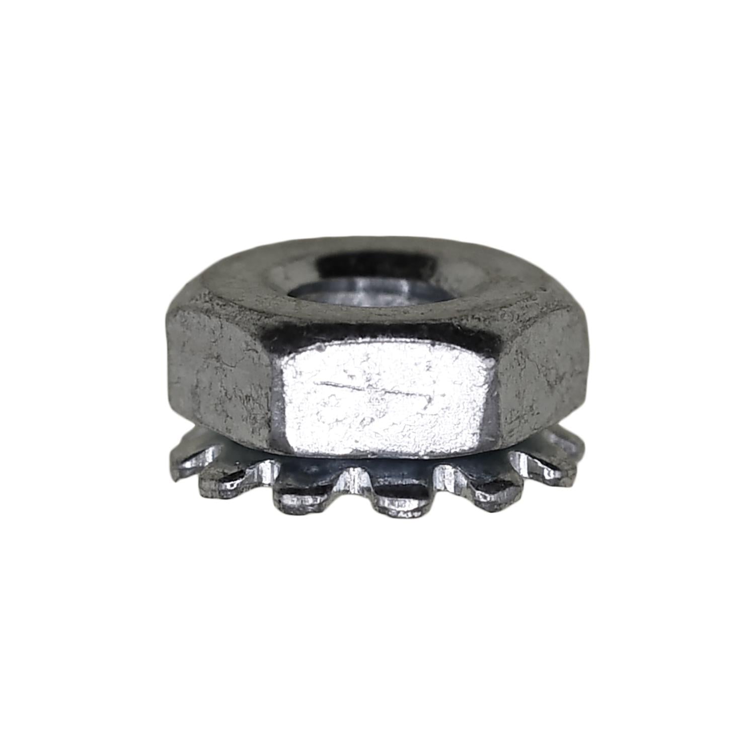 Auveco No. 3493 8-32 Hex Keps Nut Zinc, Quantity - 100