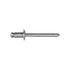 Auveco No. 8889 Panel Rivets, Quantity - 100