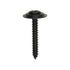 Auveco No. 11786 #6 X 1" Phillips Oval Head AB Tapping SEMS - Black Phosphate, Quantity - 100