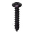 Auveco No. 11923 #10 X 1" Phillips Pan Head Tapping Screw - Black Oxide, Quantity - 50