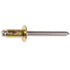 Auveco No. 12654 Special Rivet Ford 1/4" Diameter 1/2" Flange Diameter, Quantity - 25