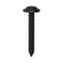 Auveco No. 12955 Phillips .Flat Washer Head T.S.#10 X 1-1/4" Black, Quantity - 50