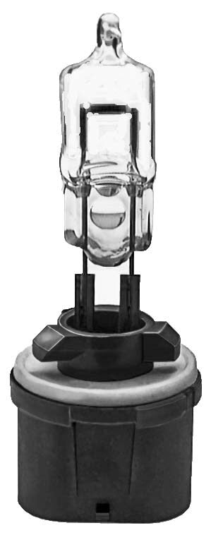 Auveco No. 20599 Halogen Bulb #893, Quantity - 1
