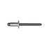 Auveco No. 21124 GM Specialty Rivet, Quantity - 25