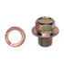 Auveco No. 21293 Nissan Oil Drain Plug W/ Gasket, Quantity - 2