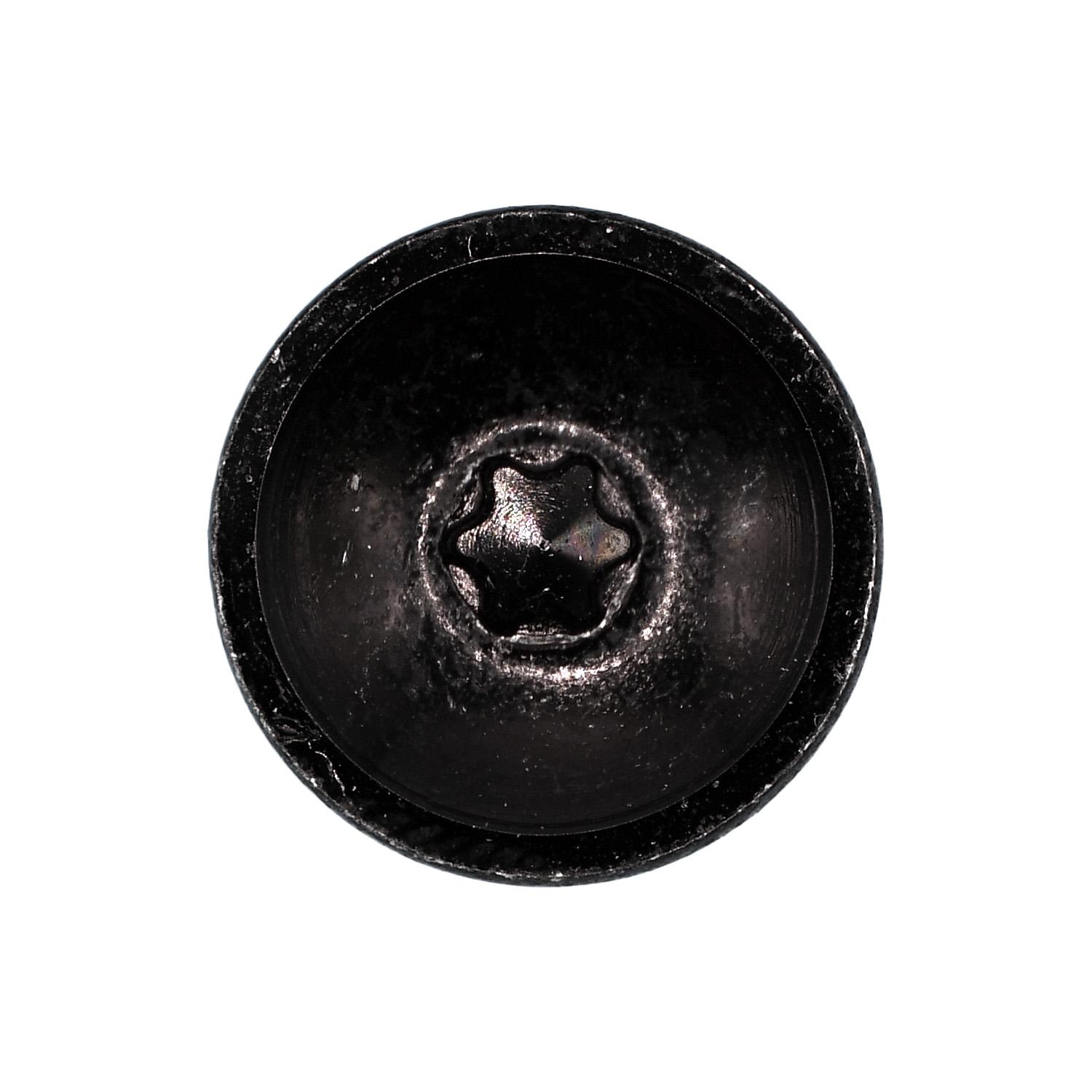 Auveco No. 21541 GM Torx Truss Head Tapping Screw, Quantity - 25
