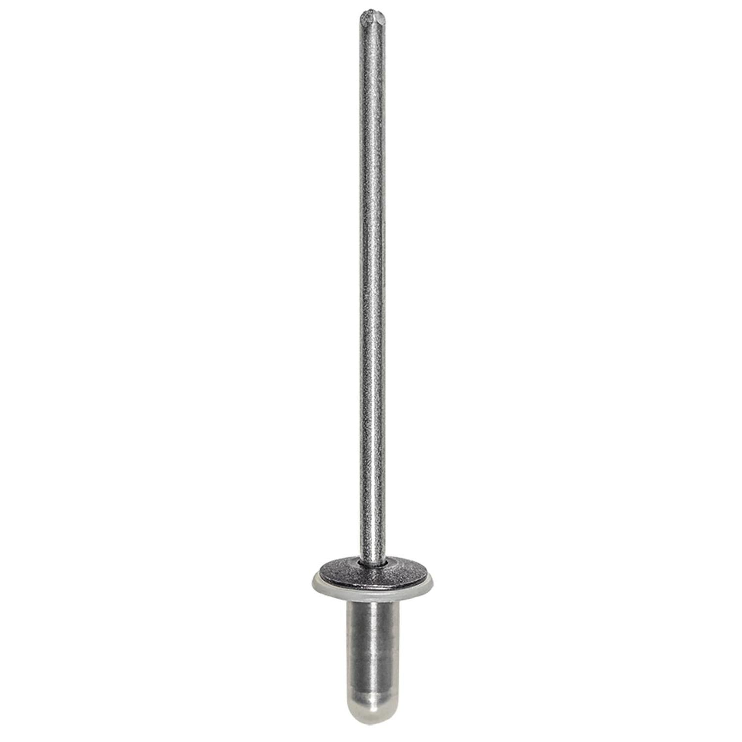 Auveco No. 21864 Ford Specialty Rivet With Plastic Cap, Quantity - 25