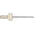 Auveco No. 22332 Toyota & Subaru Specialty Rivet With Plastic Cap, Quantity - 10