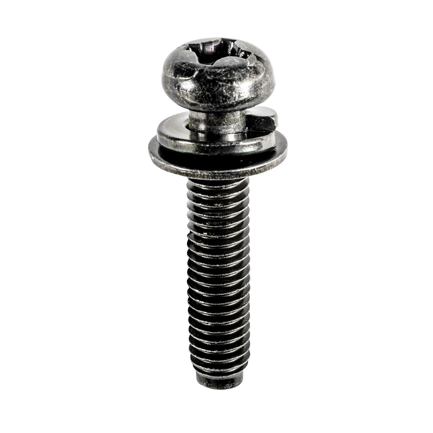 Auveco Item 22757 Phillips Round Head License Plate Screw M6-1.0 X 29mm. Quantity 25
