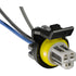 Auveco Item 23034 GM & Ford T.P.S. & Fuel Injection Timing Harness Connector. Quantity 1