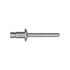 Auveco # 23418 GM Monobolt Dome Head Rivet 1/4 Diameter Steel 22643056. Qty 15.