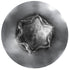 Auveco Item 23706 Torx Oval Hd T.S.  #10 X 3/4 - Chrome. Quantity 50
