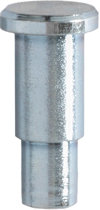 Auveco Item 23936 GM Window Regulator Roller Rivet. Quantity 25
