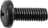 Auveco Item 24163 Phillips Pan Hd License Plate Screw M6-1.0 X 16mm. Quantity 100