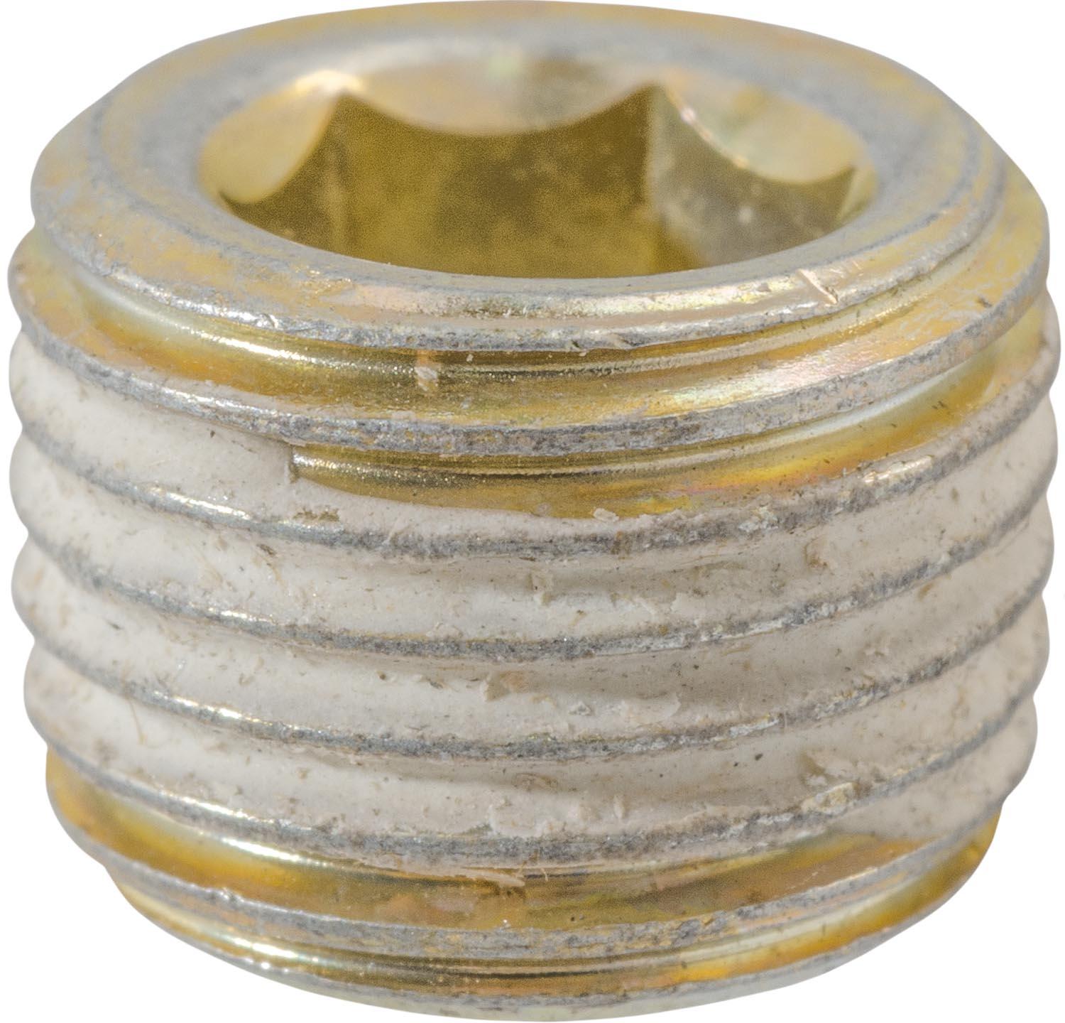 Auveco Item 24273 1/4-19  British Pipe Plug. Quantity 10