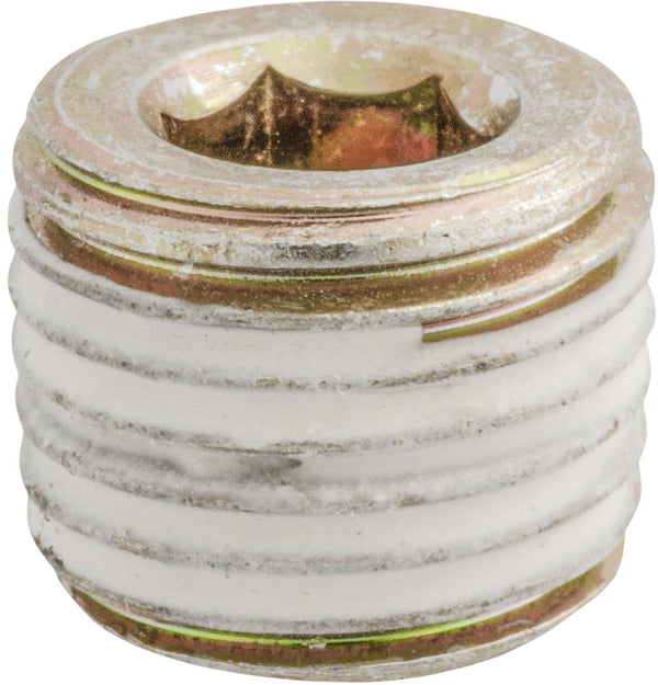 Auveco Item 24288 1/4 Japanese Pipe Plug. Quantity 10
