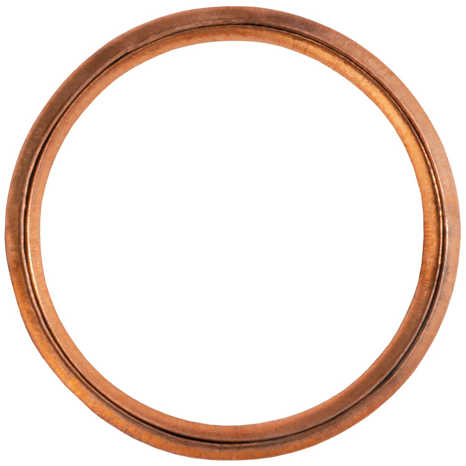 Auveco Item 24298 Copper Gasket  M22 X M27. Quantity 10