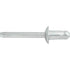 Auveco # 25108 GM Inner Wheelhouse Blind Rivet 19353809. Qty 10.