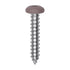 Auveco # 25359 6 x 3/4" Tan Painted Square Drive Pan Head Tapping Screw. Qty 100.