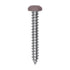Auveco # 25362 6 x 1" Tan Painted Square Drive Pan Head Tapping Screw. Qty 100.