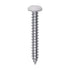 Auveco # 25363 6 x 1" White Painted Square Drive Pan Head Tapping Screw. Qty 100.
