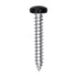 Auveco # 25370 8 x 1" Black Painted Square Drive Pan Head Tapping Screw. Qty 100.