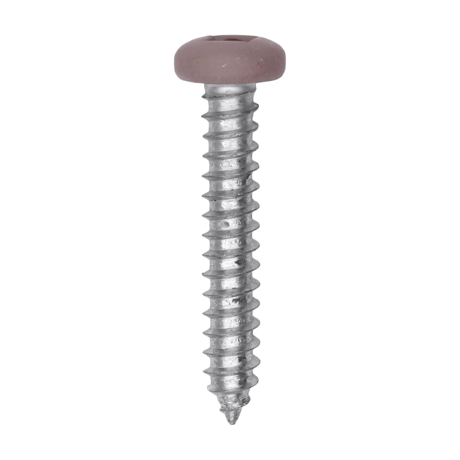 Auveco # 25371 8 x 1" Tan Painted Square Drive Pan Head Tapping Screw. Qty 100.