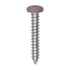 Auveco # 25371 8 x 1" Tan Painted Square Drive Pan Head Tapping Screw. Qty 100.