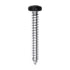 Auveco # 25373 8 x 1-1/4" Black Painted Square Drive Pan Head Tapping Screw. Qty 100.