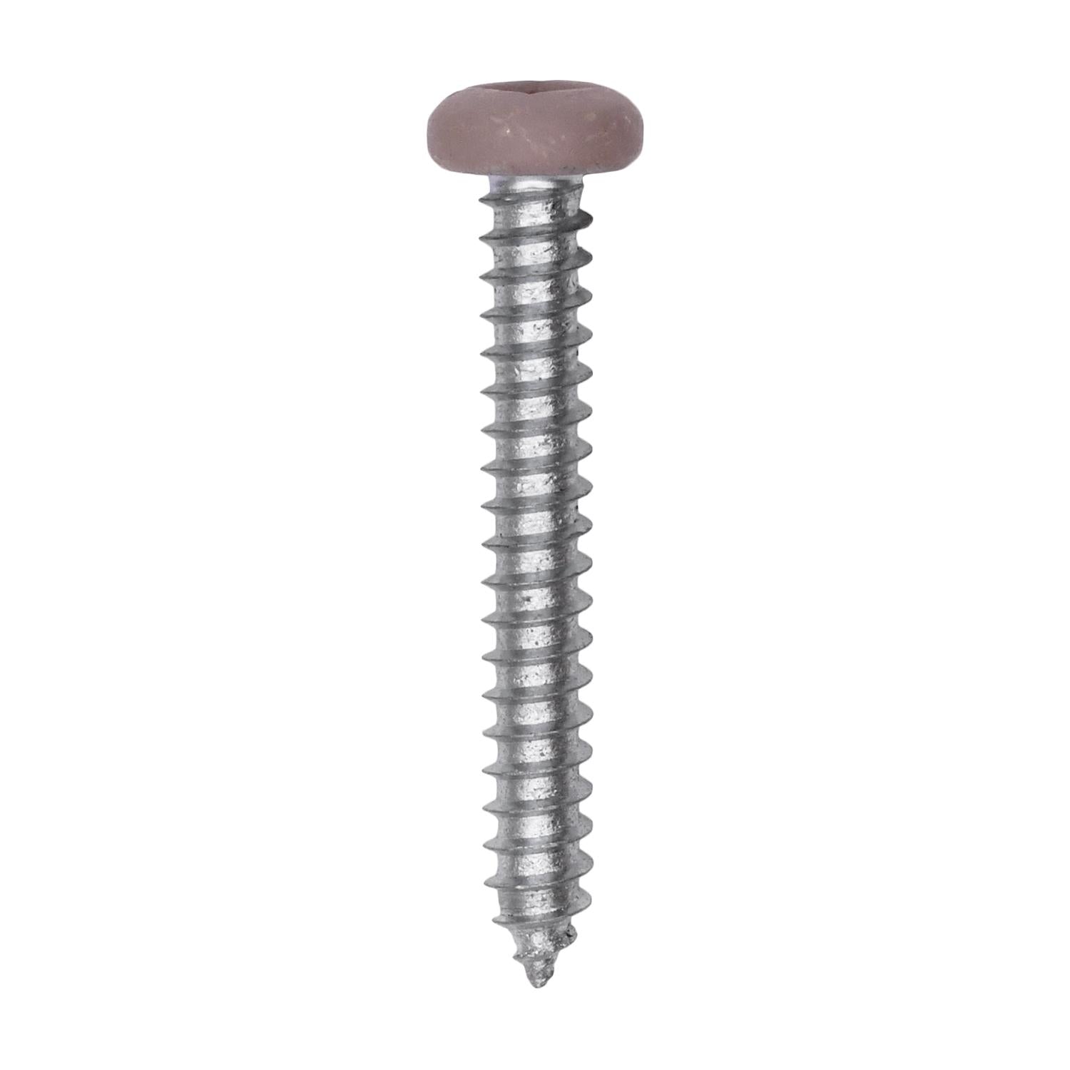 Auveco # 25374 8 x 1-1/4" Tan Painted Square Drive Pan Head Tapping Screw. Qty 100.