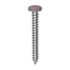 Auveco # 25374 8 x 1-1/4" Tan Painted Square Drive Pan Head Tapping Screw. Qty 100.