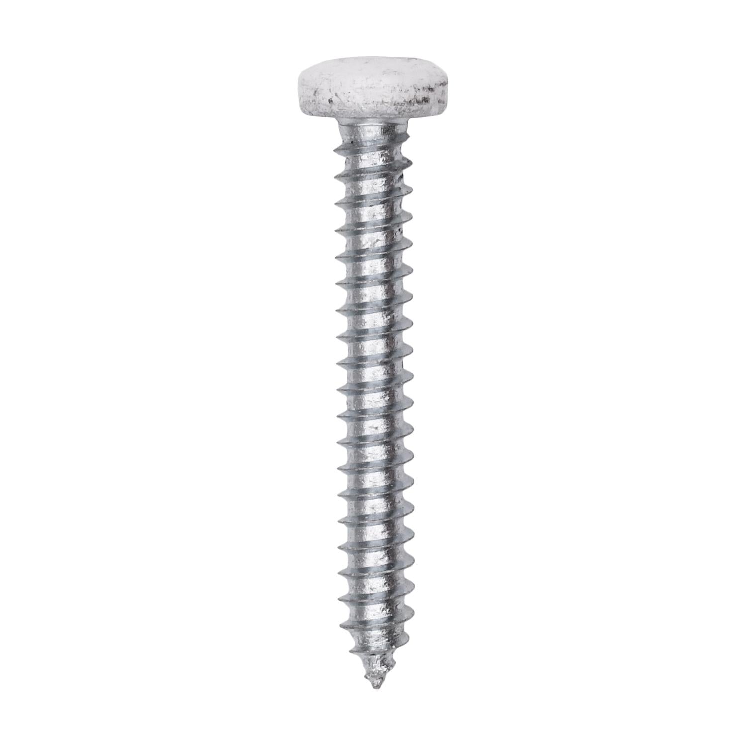 Auveco # 25375 8 x 1-1/4" White Painted Square Drive Pan Head Tapping Screw. Qty 100.