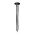 Auveco # 25376 8 x 1-1/2" Black Painted Square Drive Pan Head Tapping Screw. Qty 100.