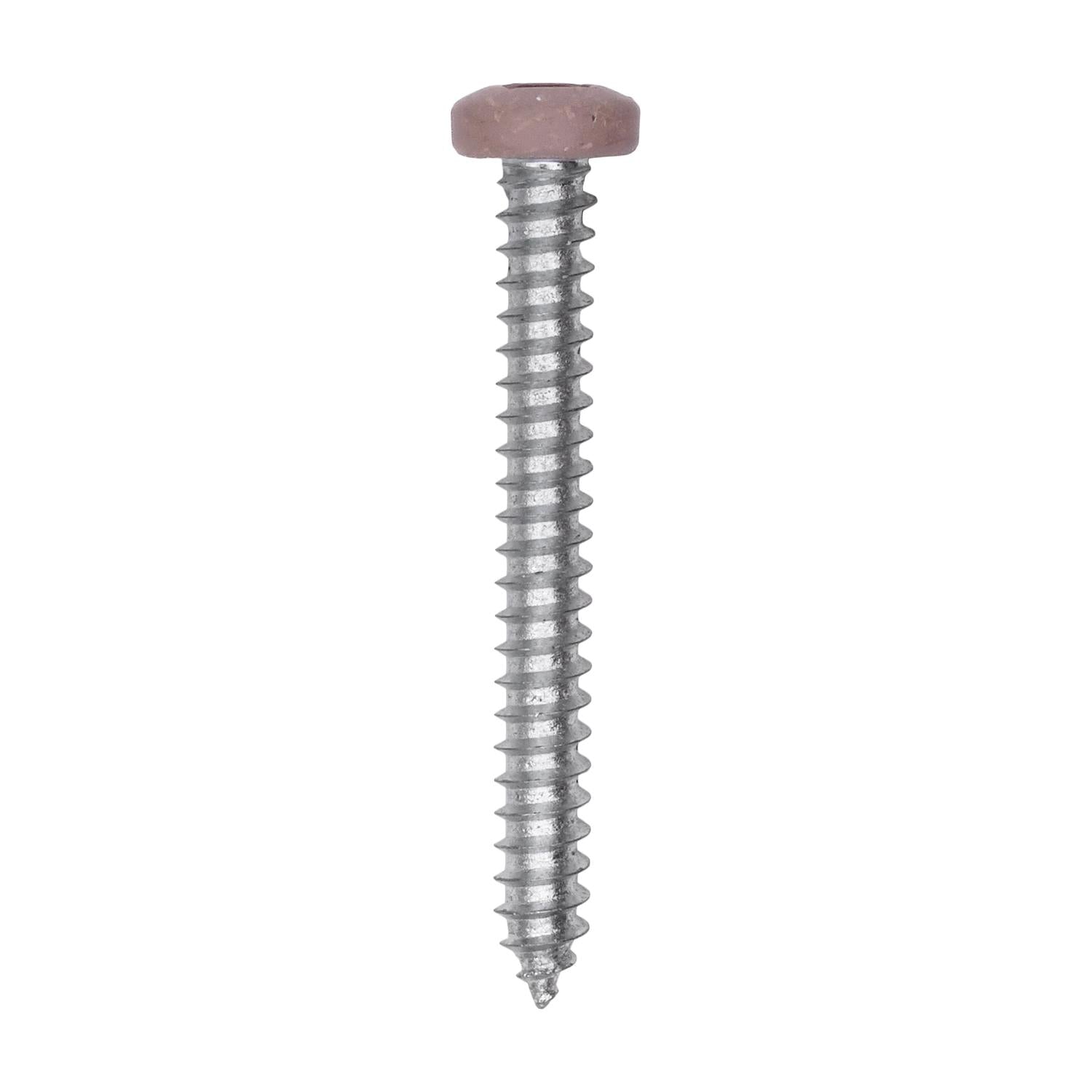 Auveco # 25377 8 x 1-1/2" Tan Painted Square Drive Pan Head Tapping Screw. Qty 100.