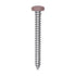 Auveco # 25377 8 x 1-1/2" Tan Painted Square Drive Pan Head Tapping Screw. Qty 100.