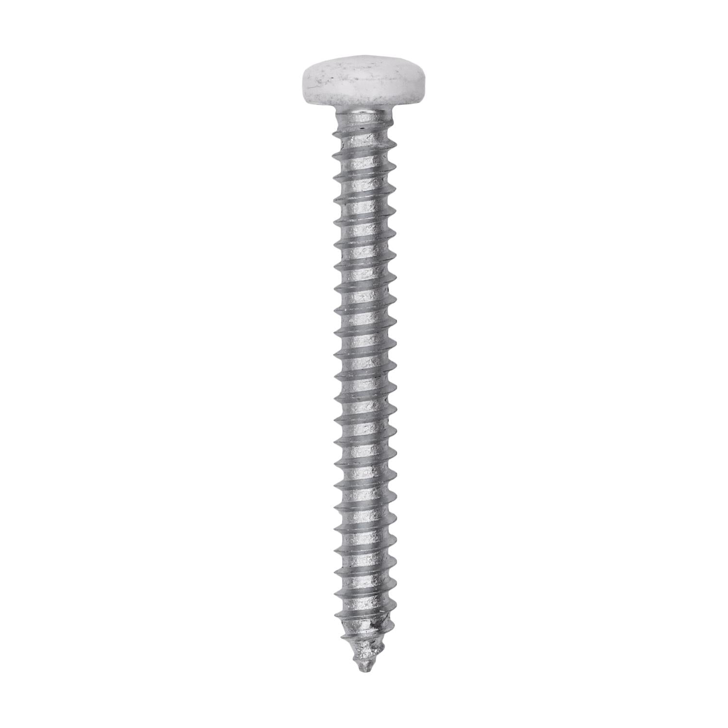 Auveco # 25378 8 x 1-1/2" White Painted Square Drive Pan Head Tapping Screw. Qty 100.