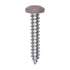 Auveco # 25386 10 x 1" Tan Painted Square Drive Pan Head Tapping Screw. Qty 100.