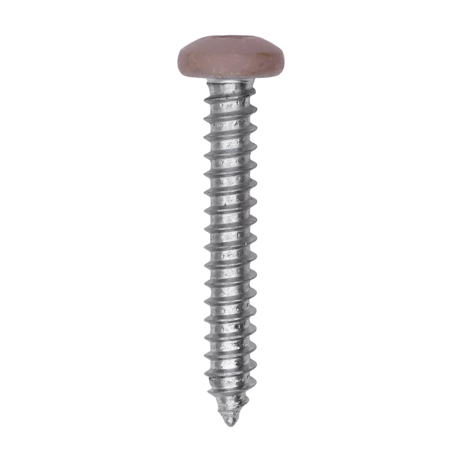 Auveco # 25389 10 x 1-1/4" Tan Painted Square Drive Pan Head Tapping Screw. Qty 100.