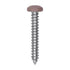 Auveco # 25389 10 x 1-1/4" Tan Painted Square Drive Pan Head Tapping Screw. Qty 100.