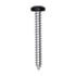 Auveco # 25391 10 x 1-1/2" Black Painted Square Drive Pan Head Tapping Screw. Qty 100.