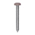 Auveco # 25392 10 x 1-1/2" Tan Painted Square Drive Pan Head Tapping Screw. Qty 100.
