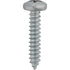 Auveco No. 3082 #10 X 1" Phillips Pan Head Tapping Screw Zinc, Quantity - 100