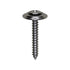 Auveco No. 3539 6 X 1" Phillips Oval SEMS Cntrsnk Washer Tapping Screw, Quantity - 100