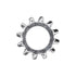 Auveco No. 5255 5/16" External Lock Washers, Quantity - 100