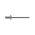 Auveco No. 8291 Panel Rivets, Quantity - 100