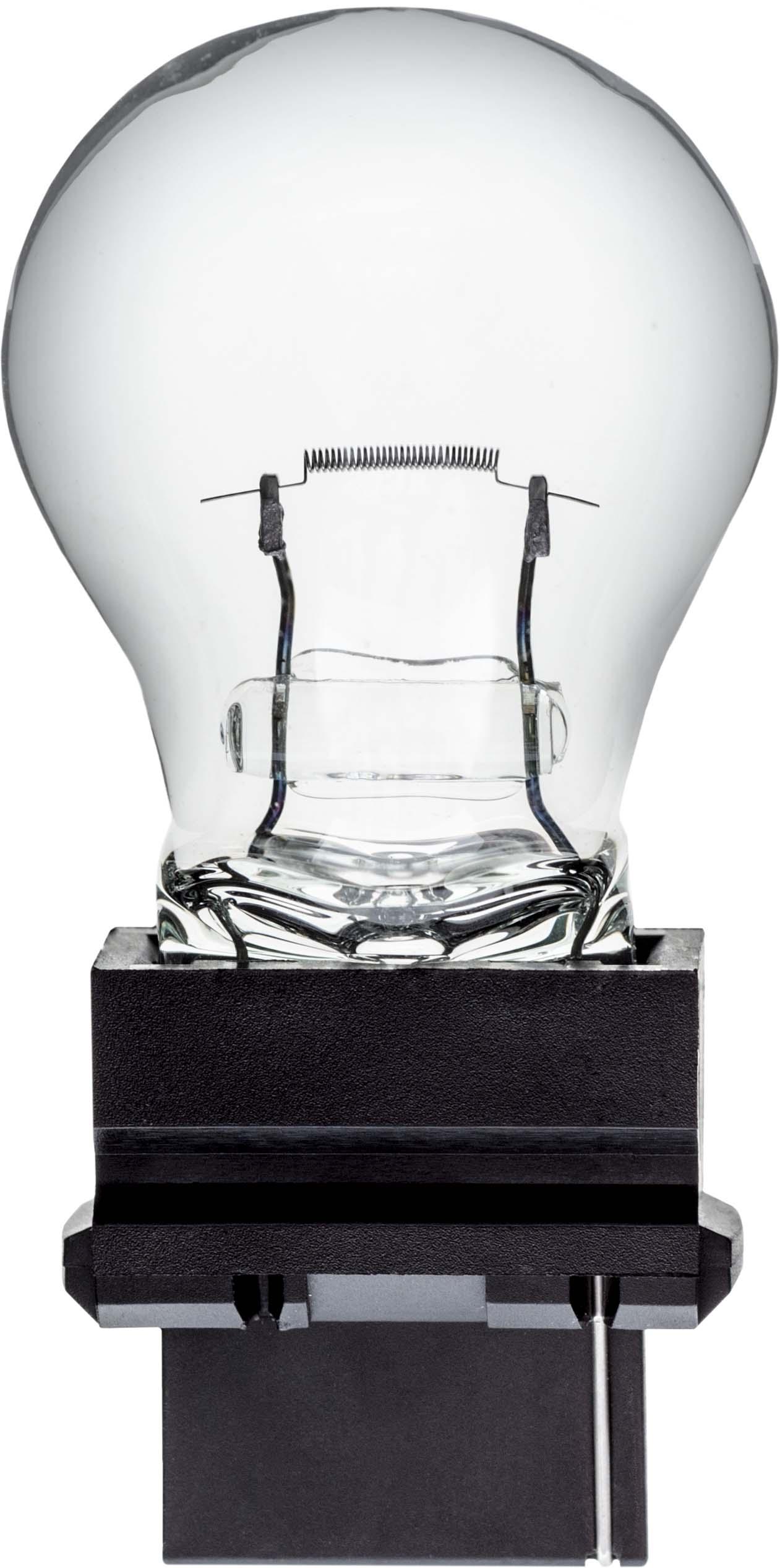 Auveco # B3156 Industry Standard 3156 Bulb. Qty 10.
