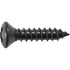 Auveco 23628 Phillips Oval Head Tapping Screw 6 X 5/8 - Black Qty 100 