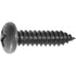 Auveco 24135 Phillips Pan Head Tapping Screw 14 X 1 - Black Qty 100 